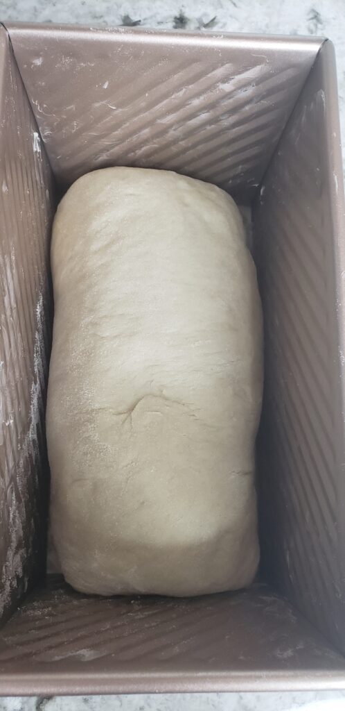 Place bread roll in bread pan.