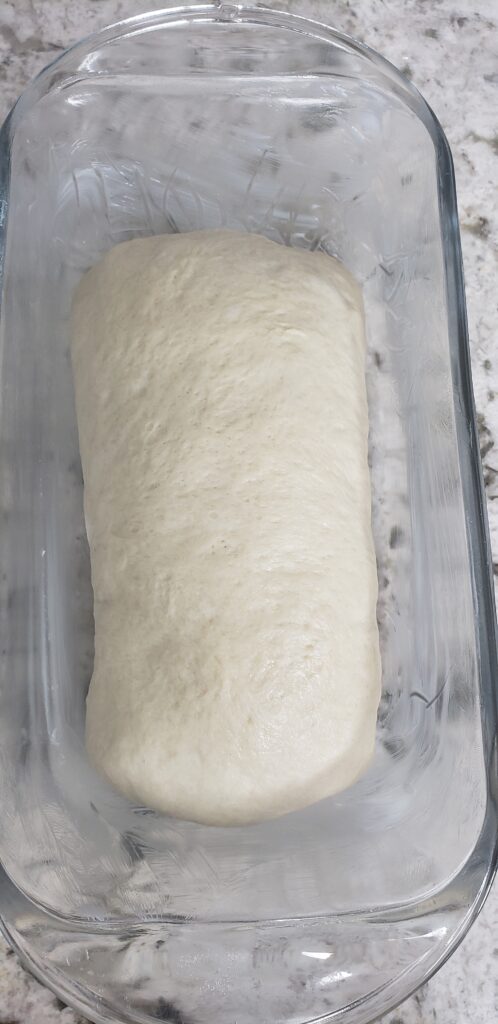 Place bread roll in pan